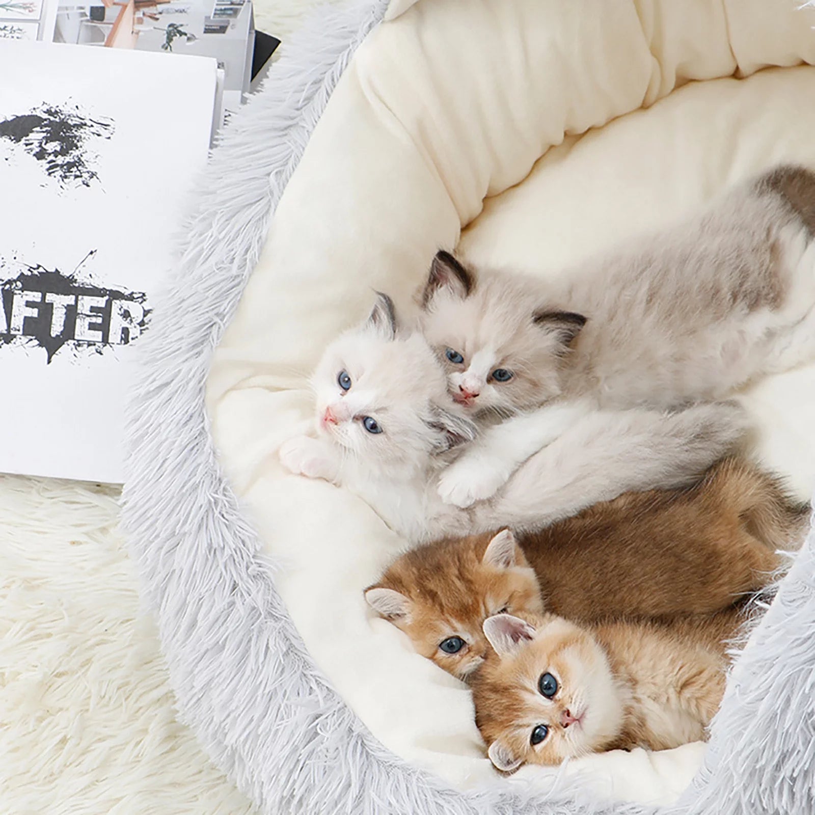 Rnemite-Amo Cat House Bed,Pet Beds Clearance Cat House Dog round Cat Winter Warm Nest Soft Foldable Sleeping Mat Pad Cozy Cat Cave Cute Pet Tent Beds for Cats Puppy Small Dogs