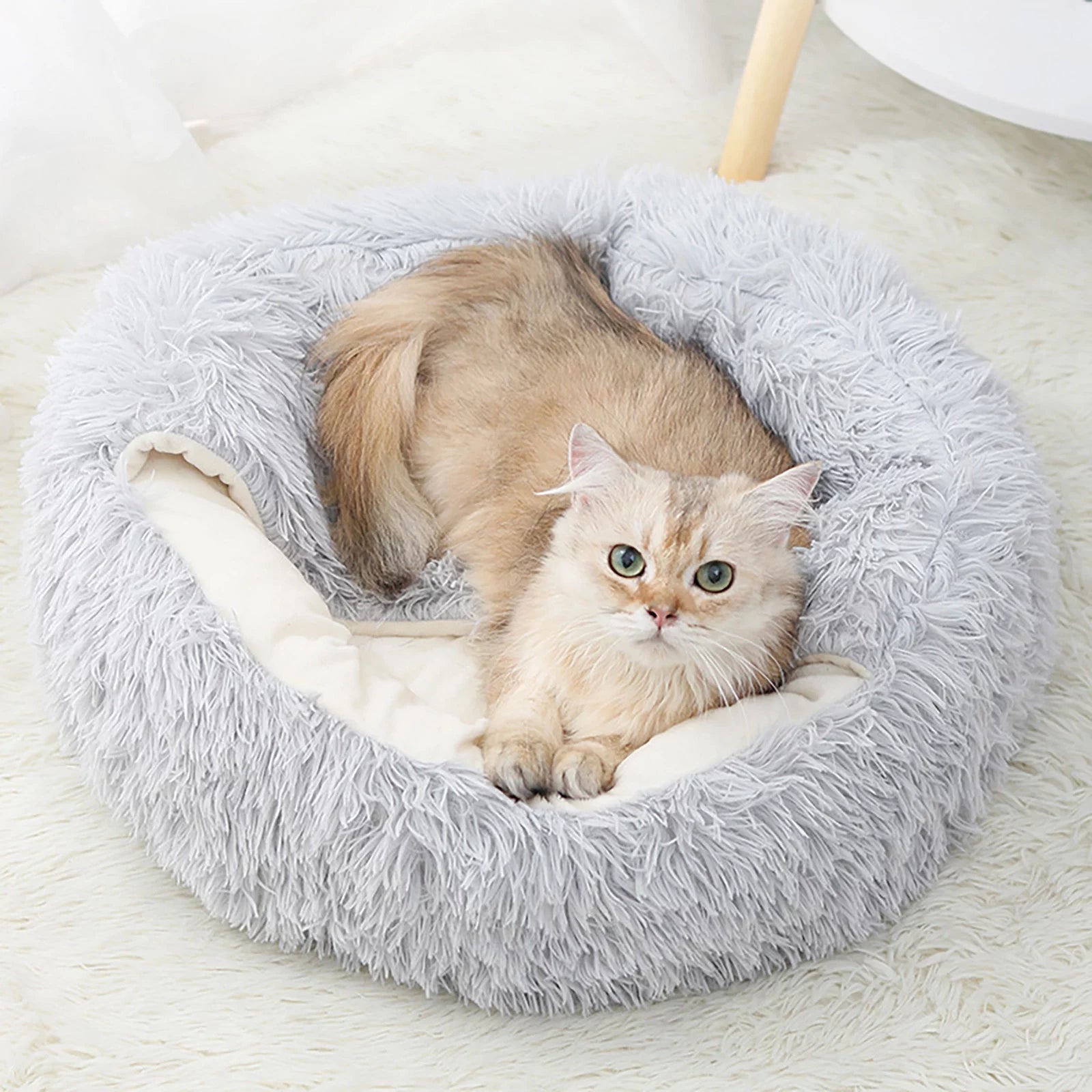 Rnemite-Amo Cat House Bed,Pet Beds Clearance Cat House Dog round Cat Winter Warm Nest Soft Foldable Sleeping Mat Pad Cozy Cat Cave Cute Pet Tent Beds for Cats Puppy Small Dogs