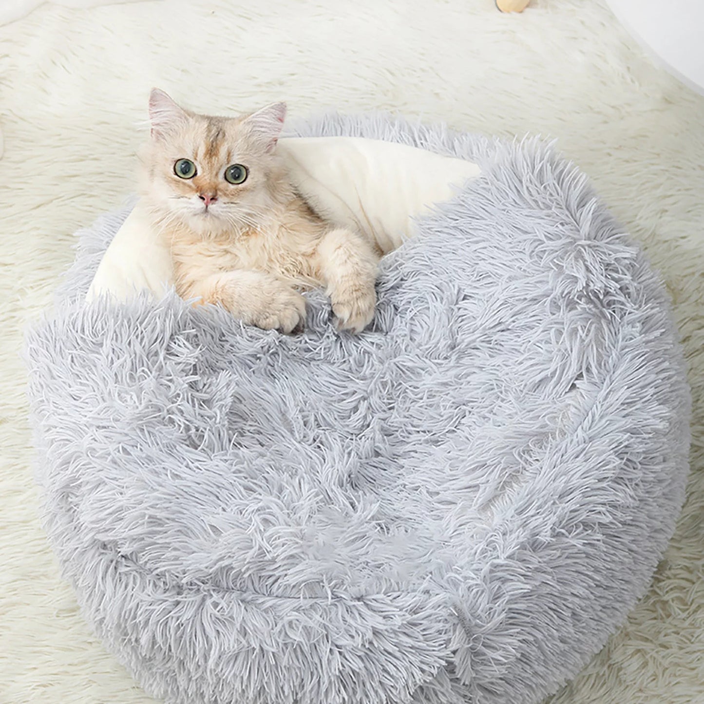 Rnemite-Amo Cat House Bed,Pet Beds Clearance Cat House Dog round Cat Winter Warm Nest Soft Foldable Sleeping Mat Pad Cozy Cat Cave Cute Pet Tent Beds for Cats Puppy Small Dogs